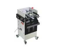 ZB200E